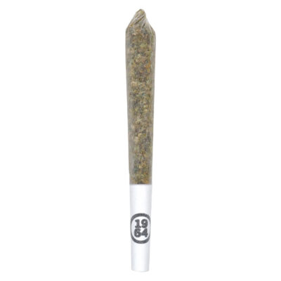 1964 - Comatose - Pre-Roll - 1x1g