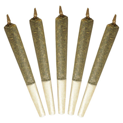 Buddy Blooms - 2 x Big Buddy Sativa - 2x1g Pre-Rolls