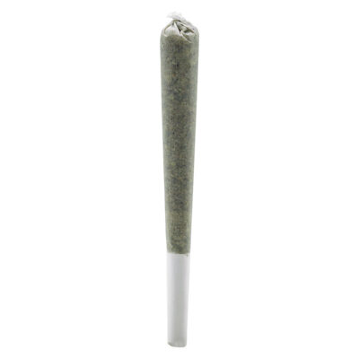 Simply Bare - BC Organic Fire OG Infused Rosin Roll - 1x0.5g Pre-Roll GARAGE SALE