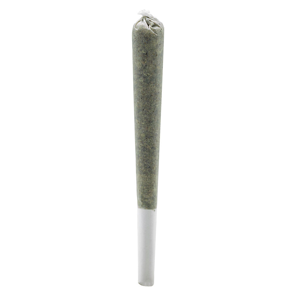 Simply Bare - BC Organic Fire OG Infused Rosin Roll - 1x0.5g Pre-Roll