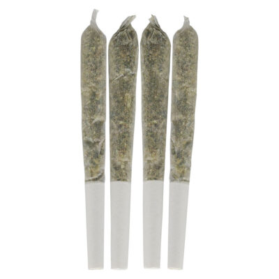 Dime Bag - Tropical Pocket Puffs - 4x0.5g Pre-Rolls GARAGE SALE