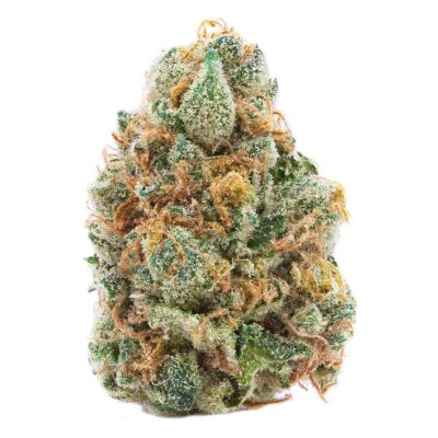 Spinach - GMO Cookies - 7g Flower
