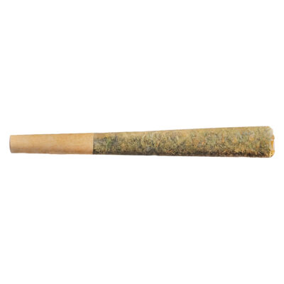 Fuego - Sunny Daze Sativa - 1x1g Pre-Roll