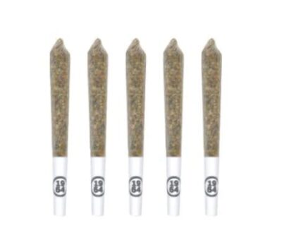 1964 - Comatose [5x0.5g Pre-Rolls]