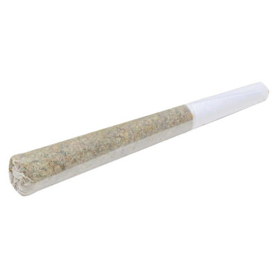Pepe - Peach Tree - 10x0.5g Pre-Rolls