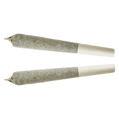 XPLOR - Sativa [1x1g Pre-Roll]