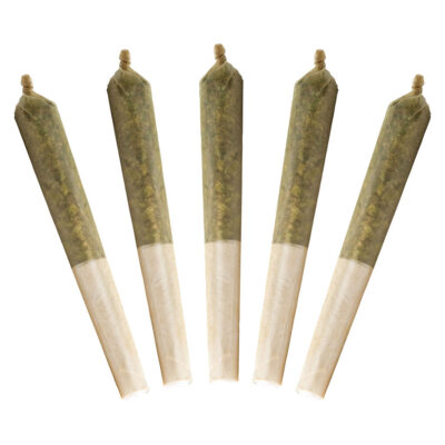 Buddy Blooms - Lil Buddy Sativa 5x0.5g Pre-Rolls