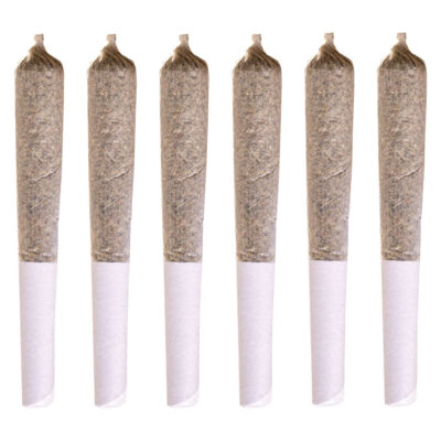 Station House - Jack Herer [1x0.5g Pre-Roll]