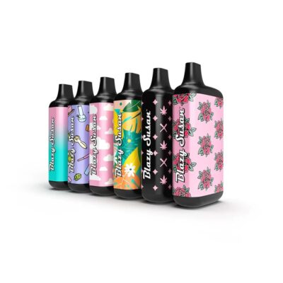 Randys | Inspo Max Vaporizer