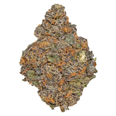 Potluck - Beaver Tail - 7g Craft Flower