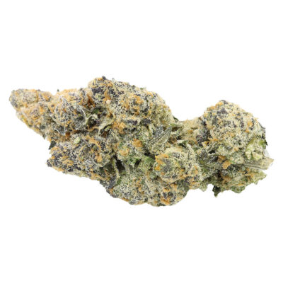 Sitka Legends GARAGE SALE - White Hot Guava - 7g Craft Flower