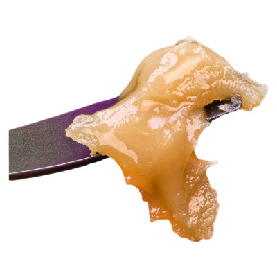 Sauce Rosin Labs - Live Rosin Seasonal - Gas Pack - 1g Rosin GARAGE SALE