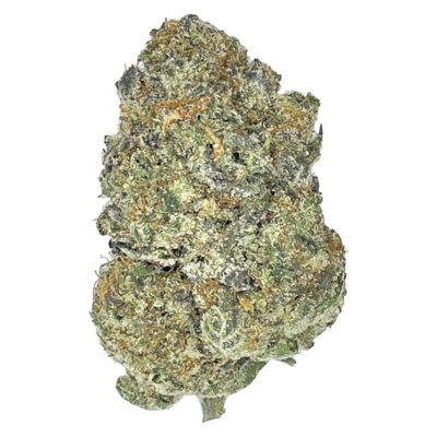 Partake GARAGE SALE - Orange Squeeze - 7g Craft Flower