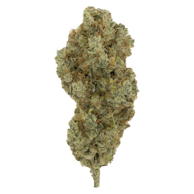 Burb GARAGE SALE - Cactus Milk - 3.5g Flower