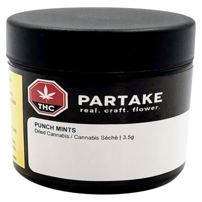 Partake - Punch - 3.5g Craft Flower GARAGE SALE