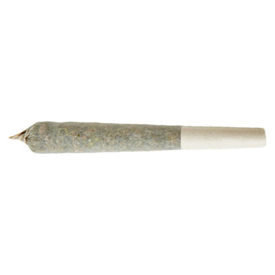 XPLOR - Beast Berry Distillate Infused [1x1g Pre-Roll]