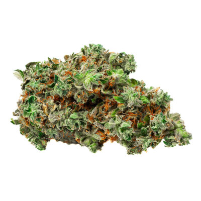 BOLD -  Root Beer Float 7g Dried Flower