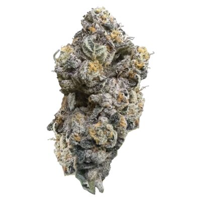 HighXotic - Hindu Glue Royal Dive#3 - 3.5g Craft Flower