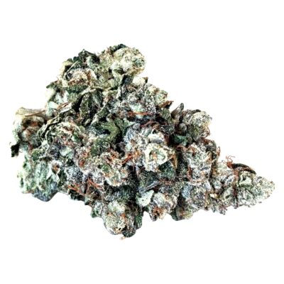 MTL Cannabis - 91 Ox - 3.5g Flower