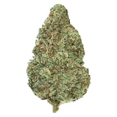 Back Forty - Chemzilla 28g Dried Flower