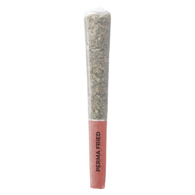 Pistol and Paris - Perma Fried - 3x0.5g Pre-Rolls GARAGE SALE