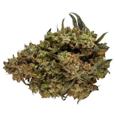 Orchid CBD - CBD Rntz - 3.5g Flower