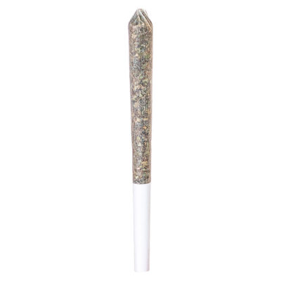 Station House - Northern Lights - 1x0.5g Pre-Roll GARAGE SALE