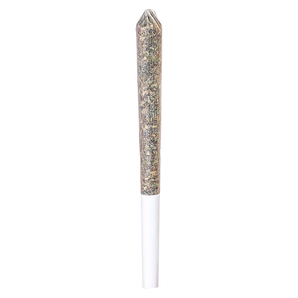 Station House - Northern Lights - 1x0.5g Pre-Roll