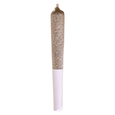 Potluck - Beaver Tail - 1x0.5g Pre-Roll