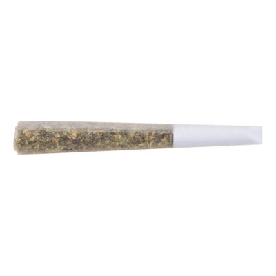 The Loud Plug - Gold Seal Hash Snake Infused - 0.5g Pre-Roll