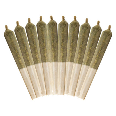Buddy Blooms - Purple Haze [10x0.5g Pre-Rolls]