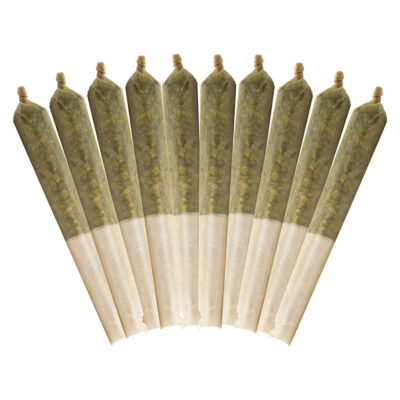Buddy Blooms - Highbrid - 10x0.5g Pre-Rolls