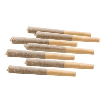 Woody Nelson - Country Club [7x0.5g Pre-Rolls]