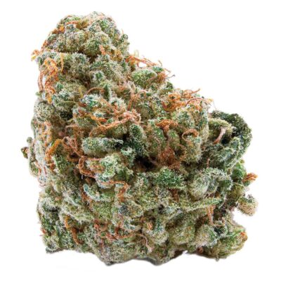 Spinach - Wedding Cake - 28g Dried Flower
