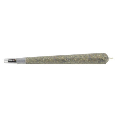 1Spliff Reserve - Javelin Premium Glass Tip - 1x2g Pre-Roll GARAGE SALE