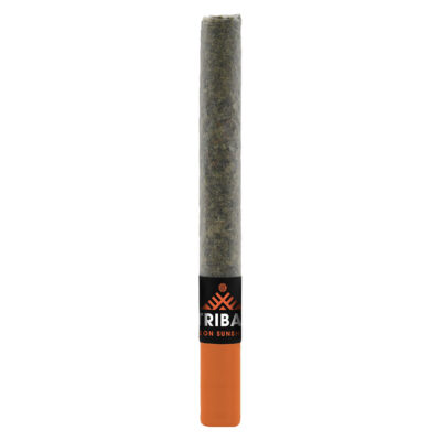 Tribal - Neon Sunshine Ceramic Tip - 1x1g Pre-Roll