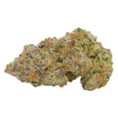 Broken Coast - Coffee Creamer - 3.5g Craft Flower GARAGE SALE
