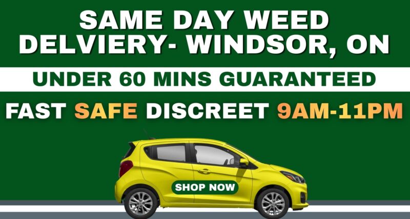 fast-same-day-weed-delivery-windsor-ontario