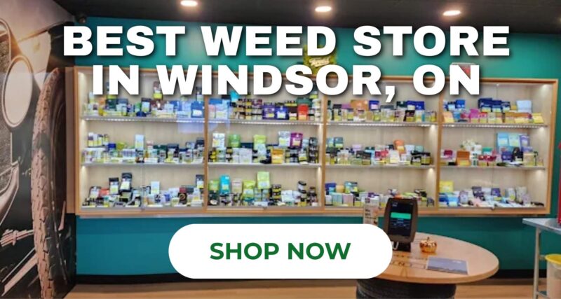 best-weed-store-windsor