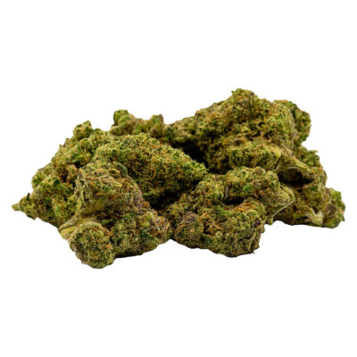 Unit 15  - The R & D Limited Craft Pack - 3.5g Craft Flower GARAGE SALE