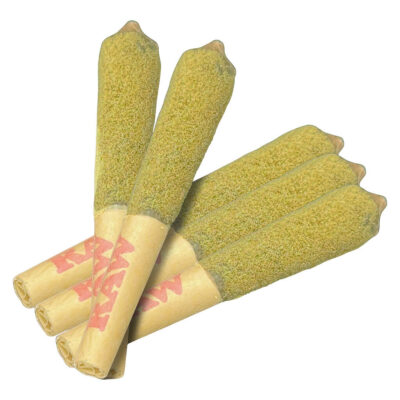 Dab Bods - Outsiders Atomic Orange Infused - 5x0.5g Pre-Rolls GARAGE SALE