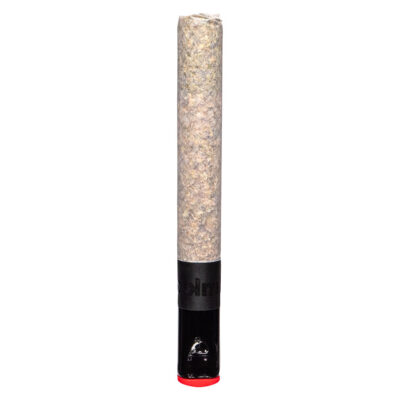 BLK MKT - The Magnum - 1x1.5g Pre-Rolls PROMO