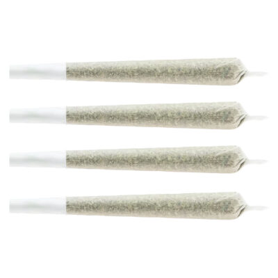 CHUB'S - Snack Pack - Indica 4x0.5g Pre-Rolls