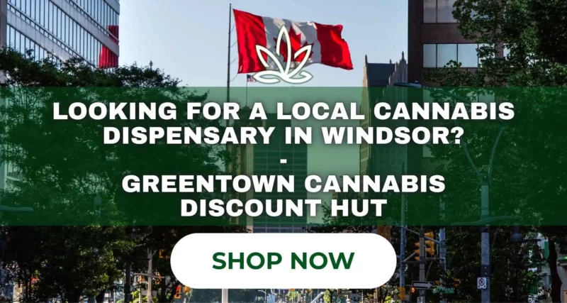 local-weed-dispensary-windsor