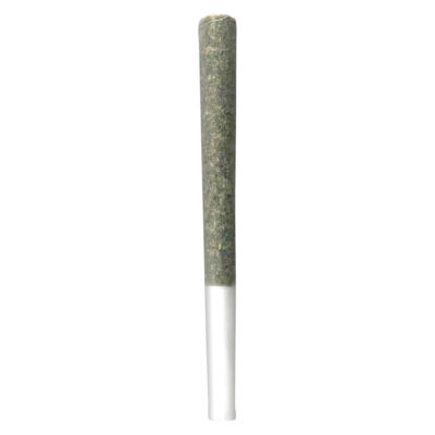 Melt - Dragon Cookies 10x0.5g Pre-Rolls GARAGE SALE