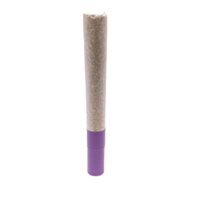 HighXotic  - G.S.P (Gas S'il vous Plait) Ice Water Hash Infused - 1x1g Pre-Roll