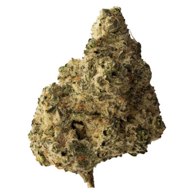 The Loud Plug - Lemon Gelato 28g Dried Flower GARAGE SALE