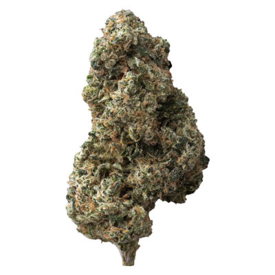 The Loud Plug - Sticky Bunz 7g Craft Flower