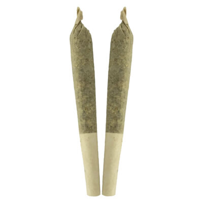 Sheeesh! - Key Lime Pie Pre-Roll 2x1g Pre-Rolls