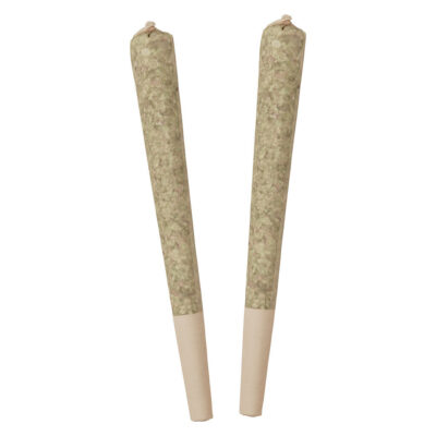 Standard Issue - Bing Cherry Infused Pre-Roll 2x0.5g Distillates